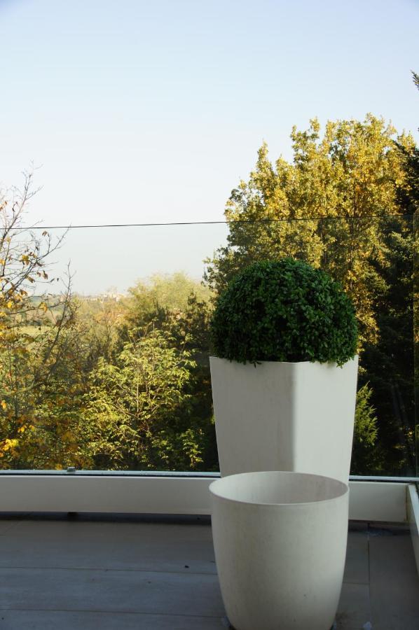 Casa Carla La Suite, Con Vista Del Verde Dei Colli Bolognesi Сассо-Марконі Екстер'єр фото